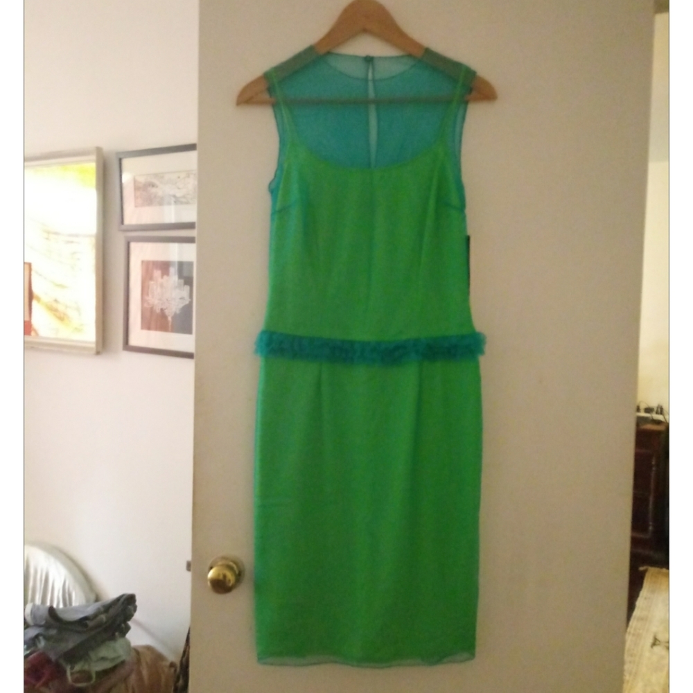 Vintage Tulle Dress